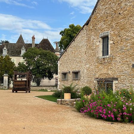 Chateau Du Mauny, Gites Et Chambres D'Hotes En Bourgogne Rosey Buitenkant foto