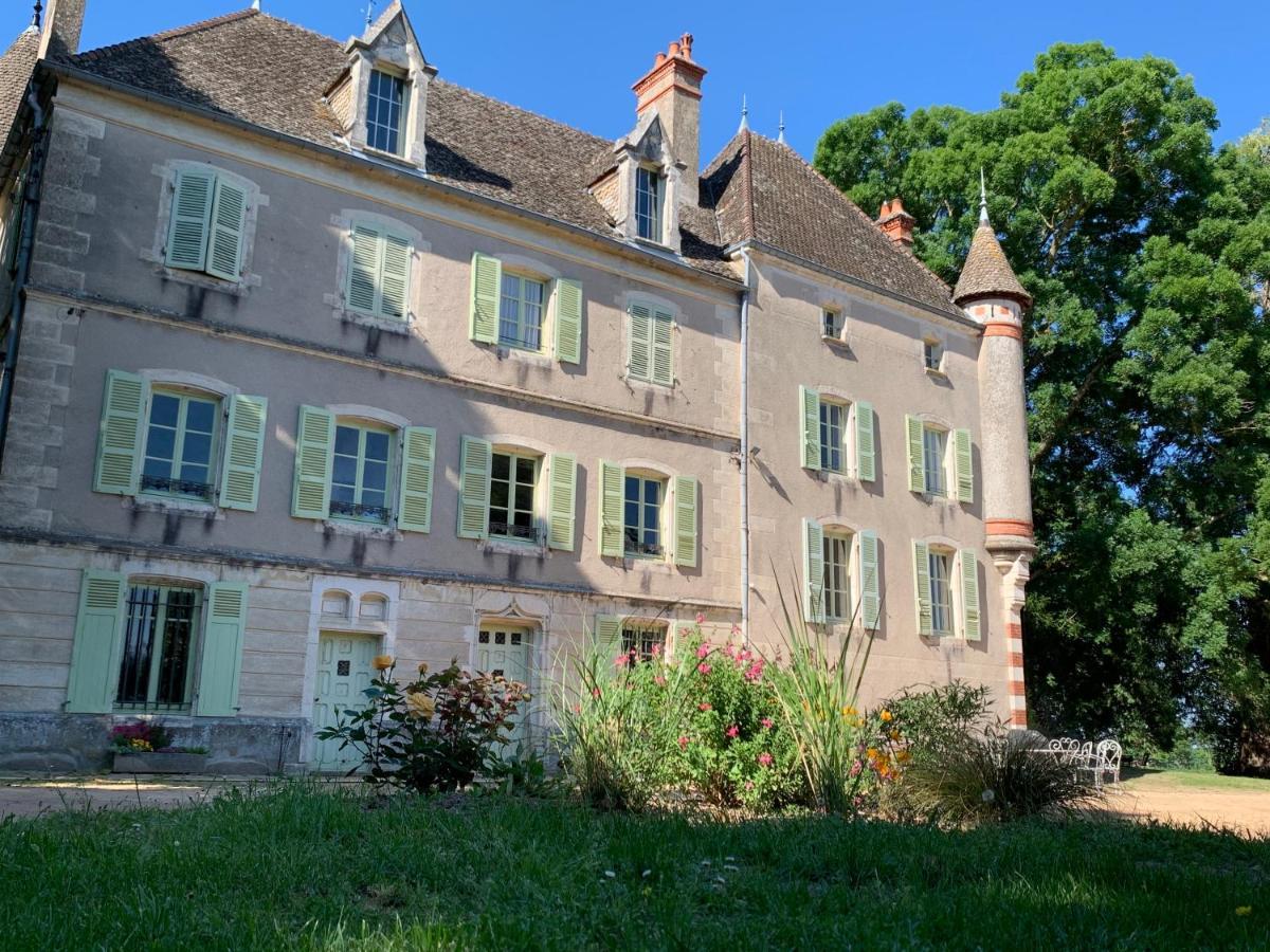 Chateau Du Mauny, Gites Et Chambres D'Hotes En Bourgogne Rosey Buitenkant foto