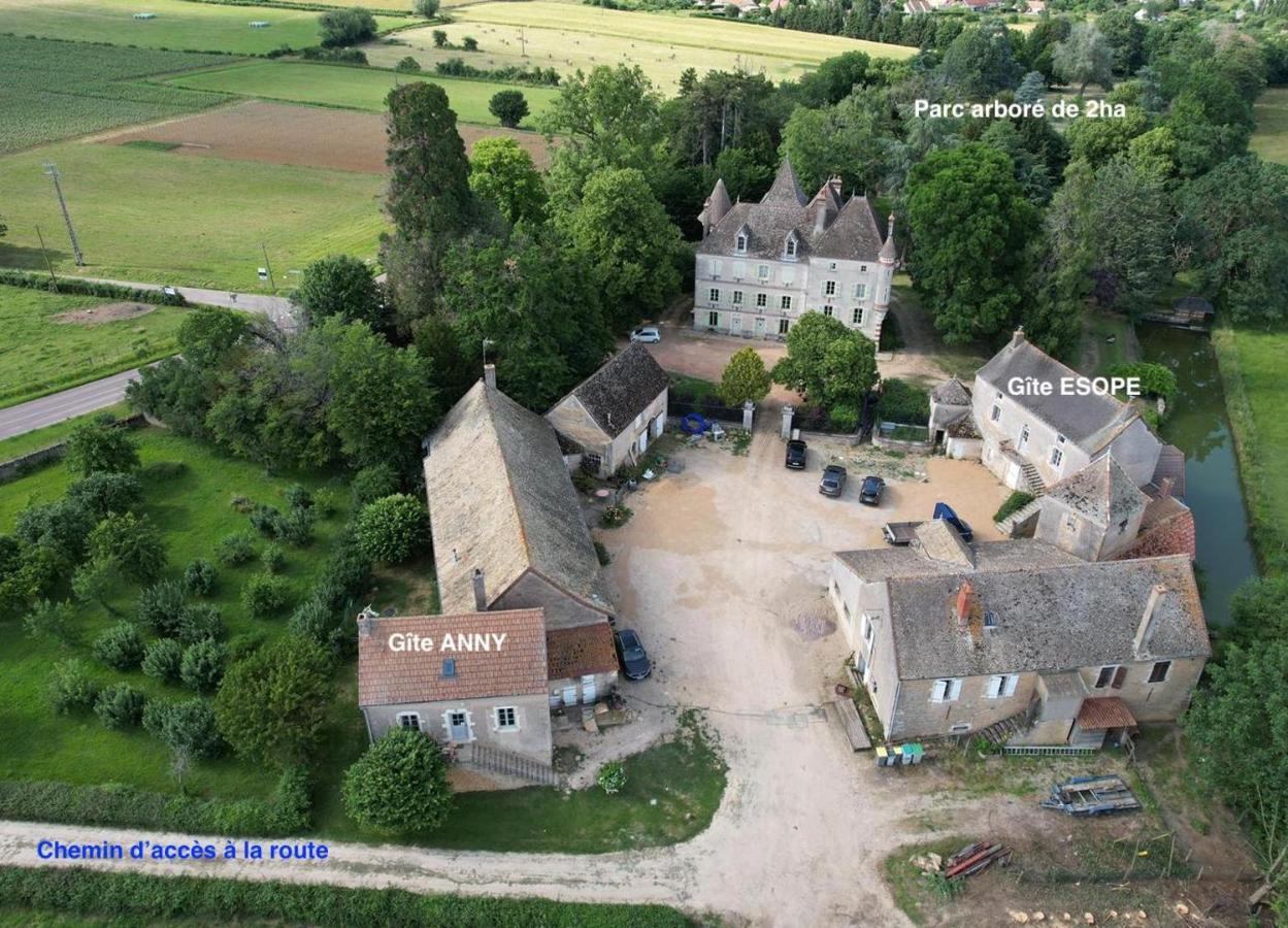 Chateau Du Mauny, Gites Et Chambres D'Hotes En Bourgogne Rosey Buitenkant foto