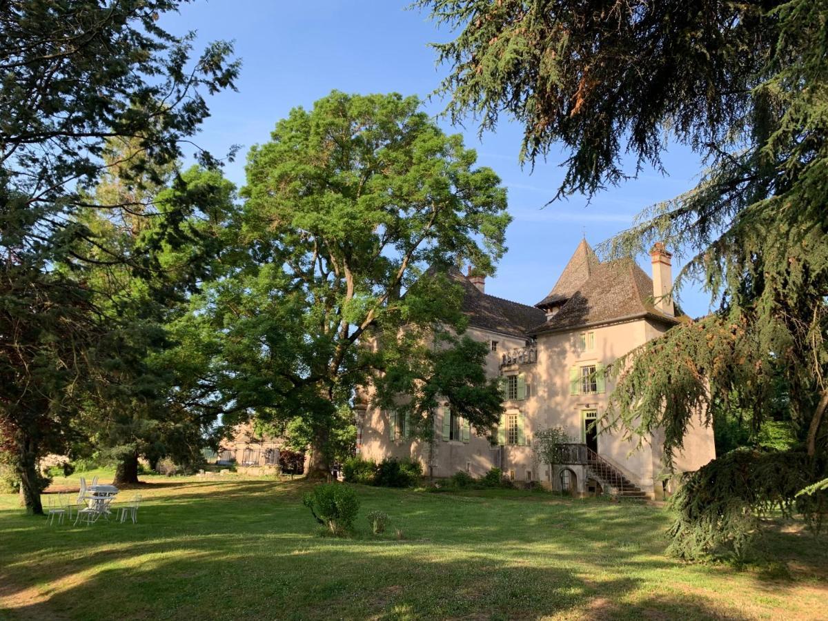 Chateau Du Mauny, Gites Et Chambres D'Hotes En Bourgogne Rosey Buitenkant foto