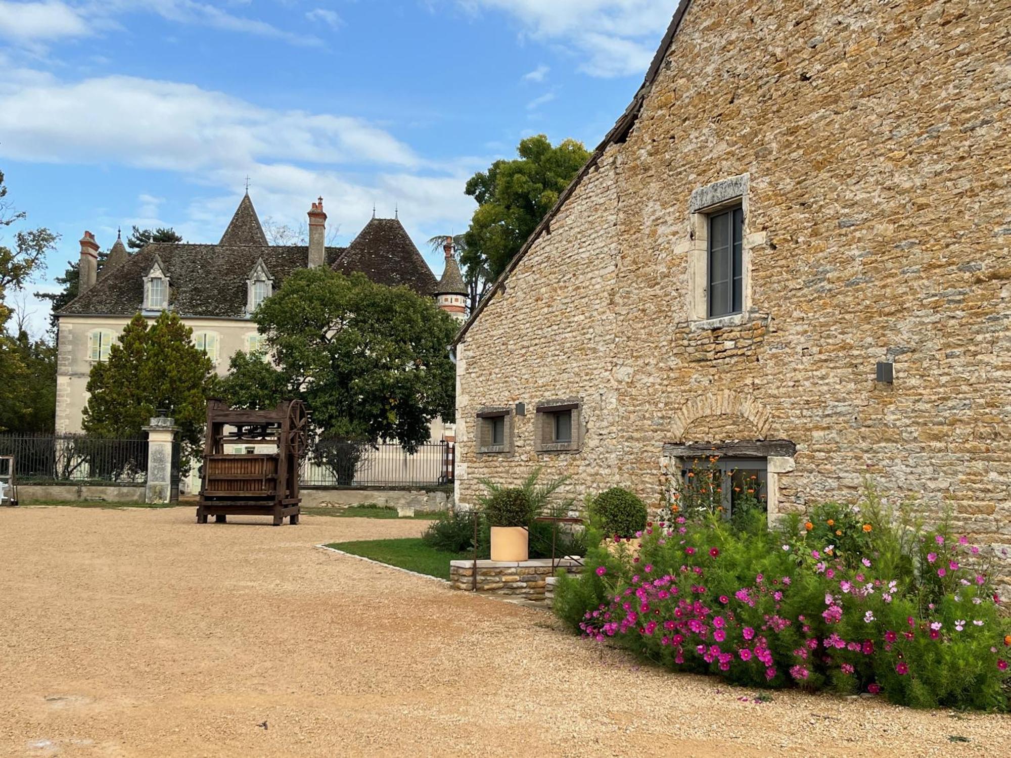 Chateau Du Mauny, Gites Et Chambres D'Hotes En Bourgogne Rosey Buitenkant foto